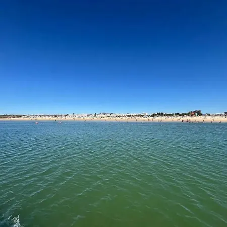 Cozy House In Sao Bras De Alportel With Shared Pool 60 M² Dom wakacyjny São Brás de Alportel